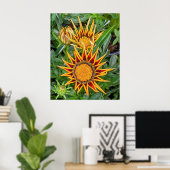 Poster des fleurs de Gazania (Bureau à domicile)