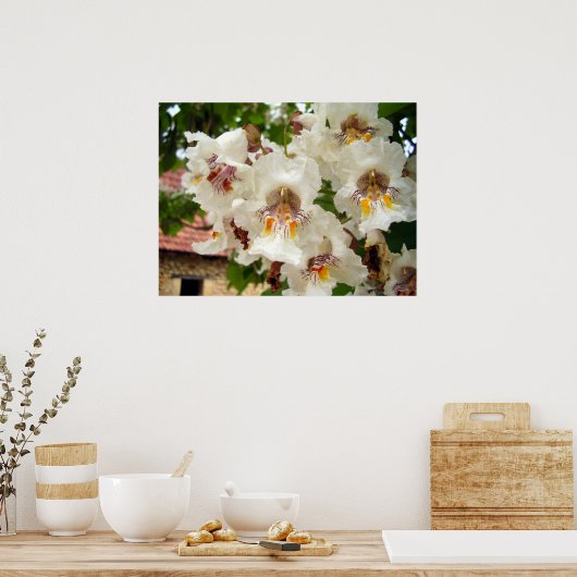 Poster des fleurs de haricots indiens (Cuisine)