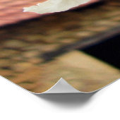 Poster des fleurs de haricots indiens (Coin)