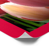 Poster des fleurs de jardin rose et rouge de la tu (Coin)