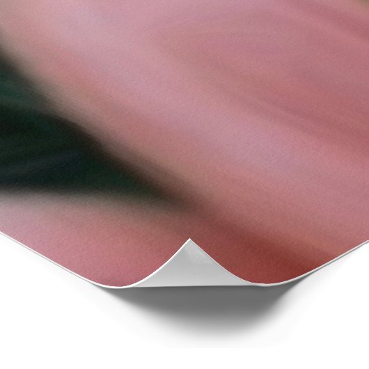 Poster des fleurs de Lys roses (Coin)