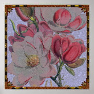 Poster des fleurs de Magnolia