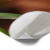 Poster des fleurs de neige (Coin)