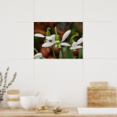 Poster des fleurs de neige (Cuisine)