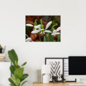 Poster des fleurs de neige (Bureau à domicile)