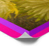 Poster des fleurs de plusieurs couleurs (Coin)