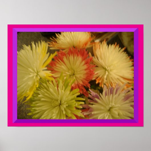 Poster des fleurs de plusieurs couleurs (Devant)