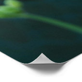 Poster des fleurs de pois doux bleu (Coin)