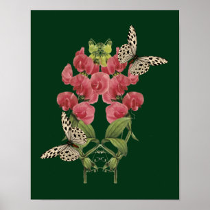 Poster Des Fleurs De Pois Sucrées Et Des Papillons