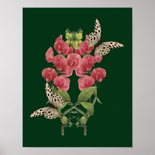 Poster Des Fleurs De Pois Sucrées Et Des Papillons (Devant)