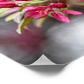 Poster des fleurs de pomme de crabe rouge (Coin)