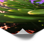 Poster des fleurs de printemps violettes (Coin)