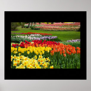 Poster des fleurs du jardin