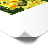 Poster des fleurs du jardin (Coin)