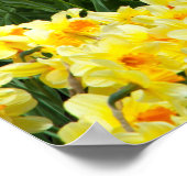 Poster des fleurs du jardin (Coin)