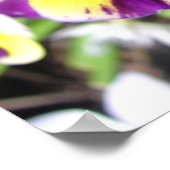Poster des fleurs du jardin de printemps violet Vi (Coin)