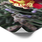 Poster des fleurs florales du printemps rayé (Coin)