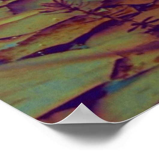 Poster des fleurs Lotus (Coin)