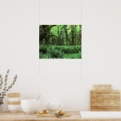 Poster Des fougères recouvrant une forêt pluviale aux Jeu (Cuisine)
