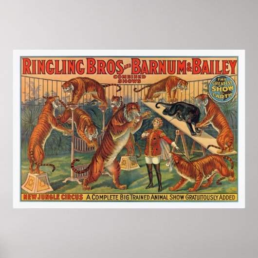 Poster des Frères Barnum et Bailey Tigers (Devant)