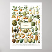 Poster des fruits de l'Adolphe Millot (Devant)