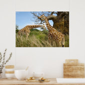 Poster Des girafes dans le champ par des arbres (Cuisine)