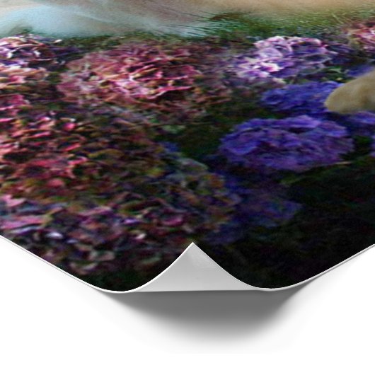 Poster des Golden Buddies (Coin)