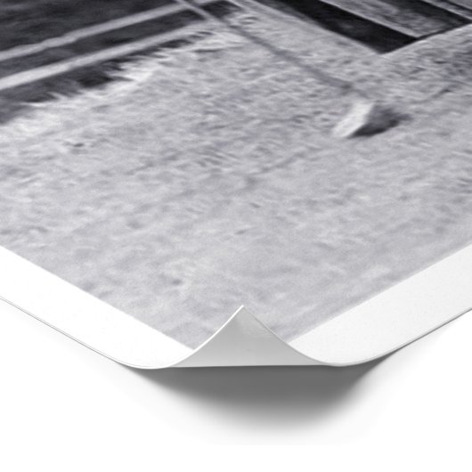 Poster des golfeuses vintages (Coin)