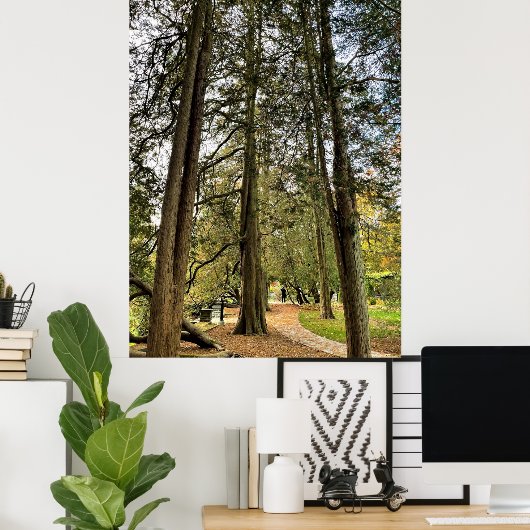 Poster des grands arbres (Bureau à domicile)