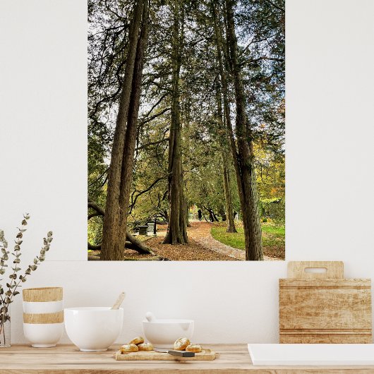 Poster des grands arbres (Cuisine)