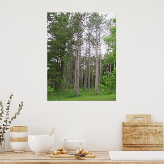 Poster des grands arbres (Cuisine)