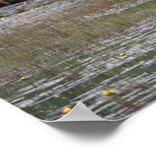 Poster des hérons dans le marais (Coin)