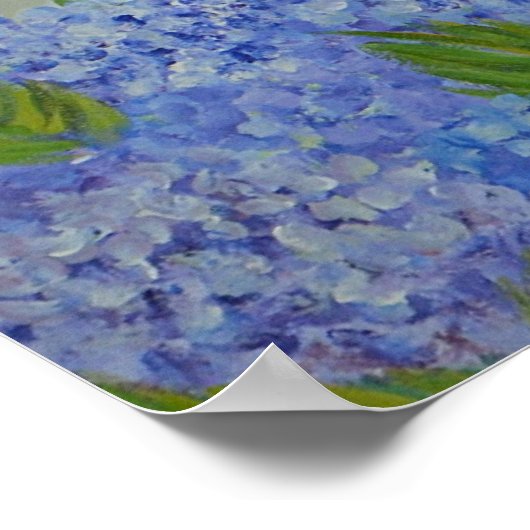 Poster Des Hydrangées Par La Mer (Coin)