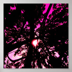 Poster des imaginaires