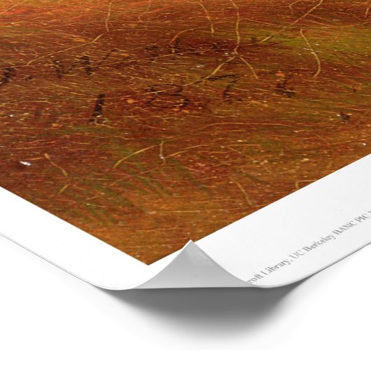 Poster Des Indiens ramassent sur un troupeau de bisons (1 (Coin)