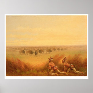 Poster Des Indiens ramassent sur un troupeau de bisons (1