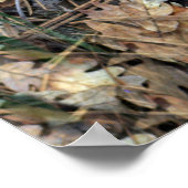 Poster Des Iris sauvages dans les bois... (Coin)