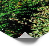 Poster des Jardins Bahai au-dessus de Haïfa, au-de (Coin)