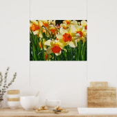 Poster des jonquilles (Cuisine)
