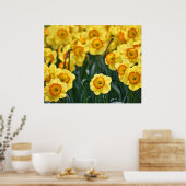 Poster des jonquilles (Cuisine)