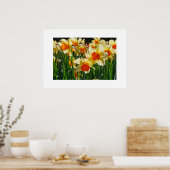 Poster des jonquilles (Cuisine)
