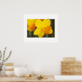 Poster des jonquilles (Cuisine)