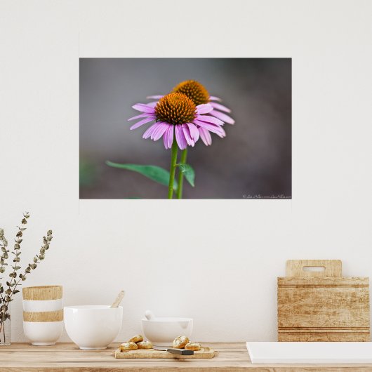 Poster des jumeaux à fleurs de cône violet (Cuisine)