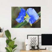 Poster des larmes de veuves (Bureau à domicile)