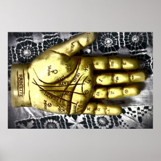 Poster des lecteurs de palmiers
