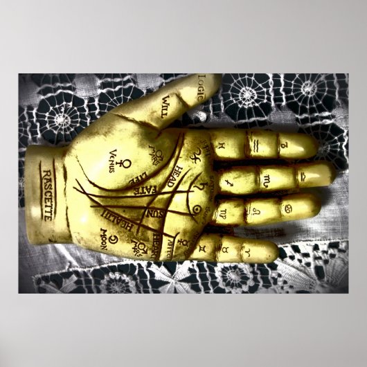 Poster des lecteurs de palmiers (Devant)