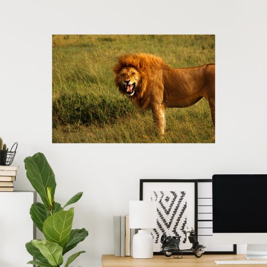 Poster des lions (Bureau à domicile)