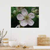 Poster des macs de la Fleur de Blackberry (Cuisine)