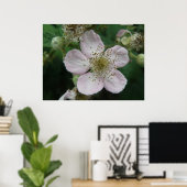 Poster des macs de la Fleur de Blackberry (Bureau à domicile)