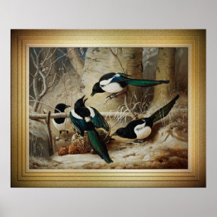 Poster Des Magpies Autour D'Une Femme Morte Capercaillie